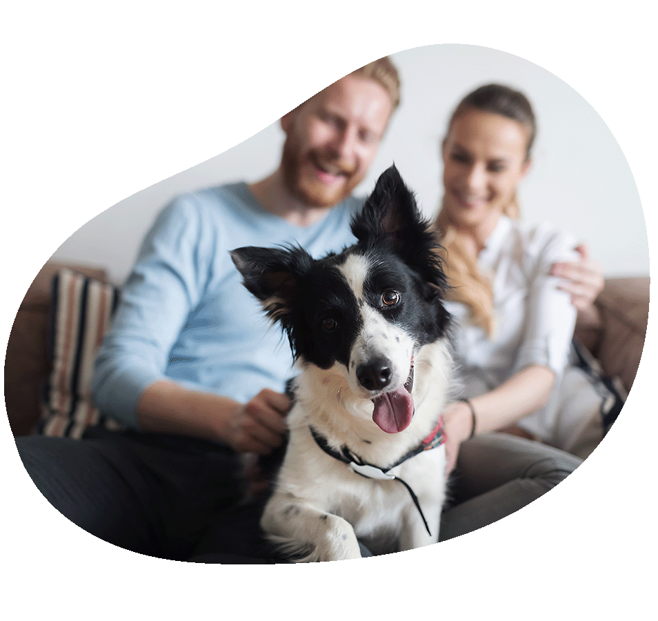 Couple with dog