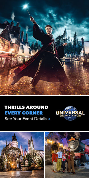 WWoHP Hogsmeade Banner 300x600
