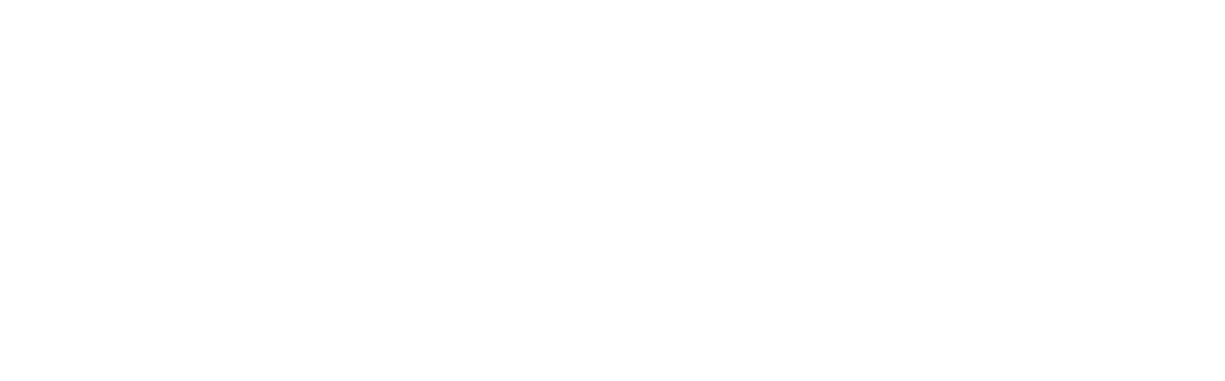 Home-Ladder-Landscape-logo-white
