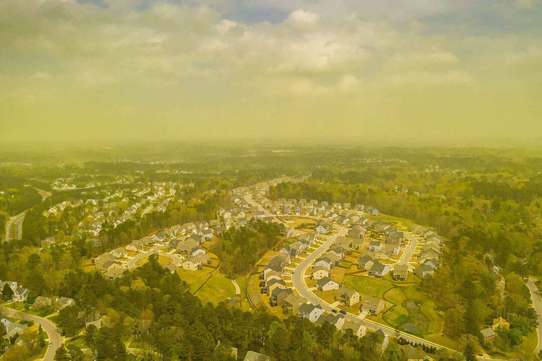 durham sky is haunted by a cloud of pollen