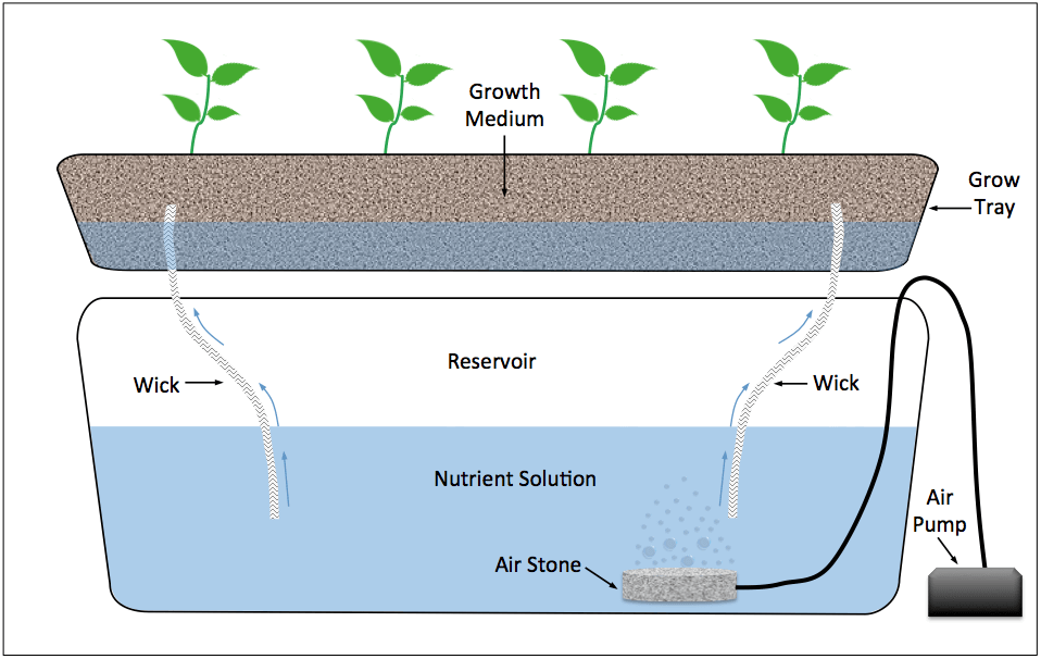 wicking system illustration